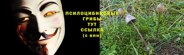 MDMA Абаза