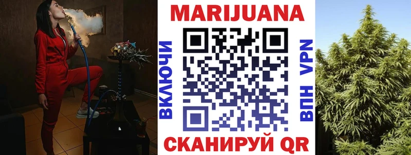 Канабис индика  купить наркотики сайты  Котельнич 
